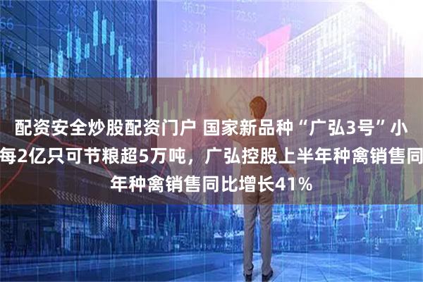 配资安全炒股配资门户 国家新品种“广弘3号”小白鸡亮相！每2亿只可节粮超5万吨，广弘控股上半年种禽销售同比增长41%