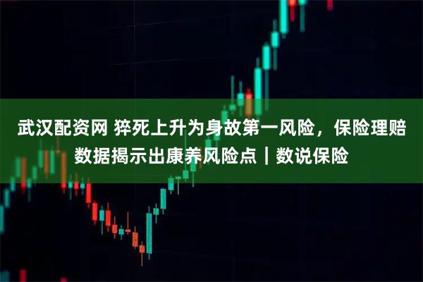 武汉配资网 猝死上升为身故第一风险，保险理赔数据揭示出康养风险点｜数说保险